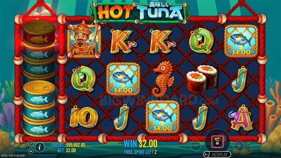 Daily Cashback at 8k8 casino